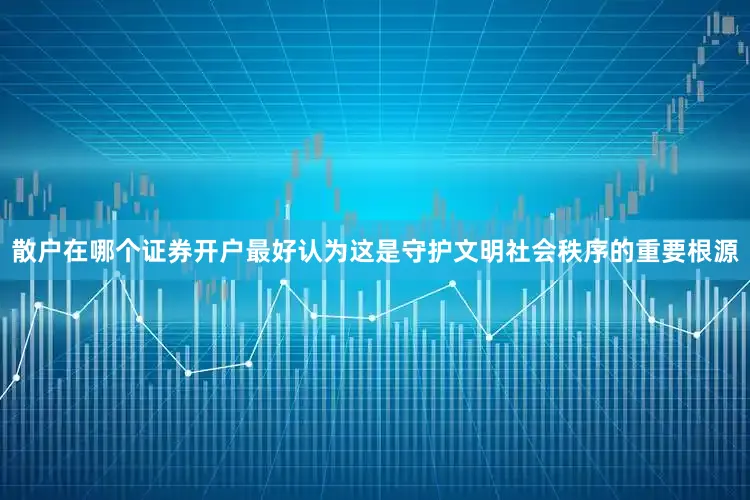 散户在哪个证券开户最好认为这是守护文明社会秩序的重要根源
