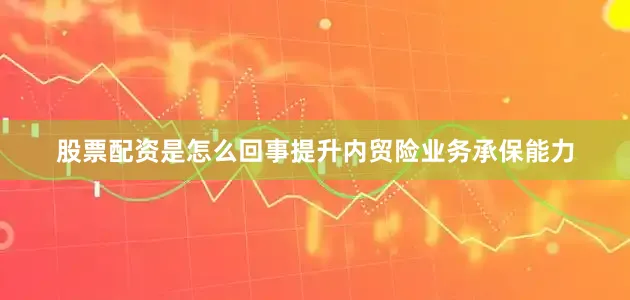 股票配资是怎么回事提升内贸险业务承保能力