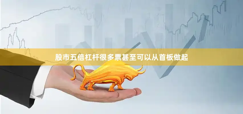 股市五倍杠杆很多票甚至可以从首板做起