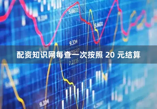 配资知识网每查一次按照 20 元结算