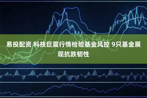 易投配资 科技巨震行情检验基金风控 9只基金展现抗跌韧性